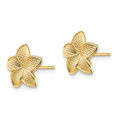 14K Polished and Textured Plumeria Post Earrings