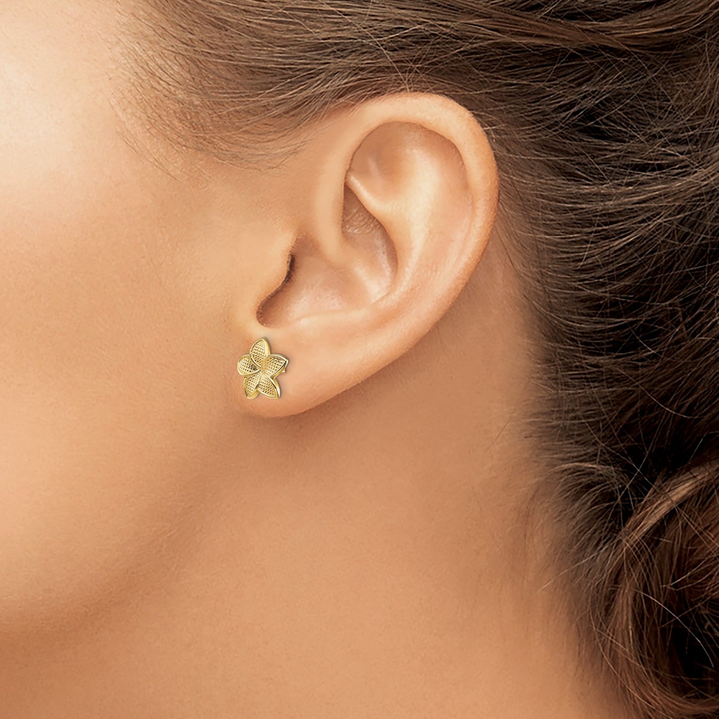 14K Polished and Textured Plumeria Post Earrings