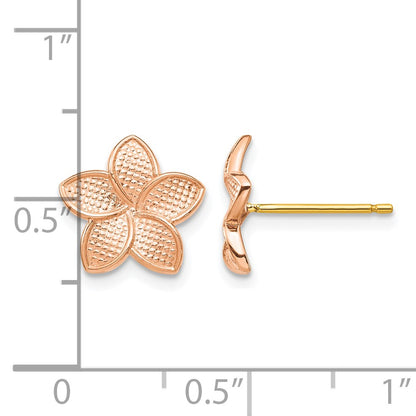 14K Rose Gold Polished and Textured Plumeria Earrings with Yellow Gold Post and Earring Backs