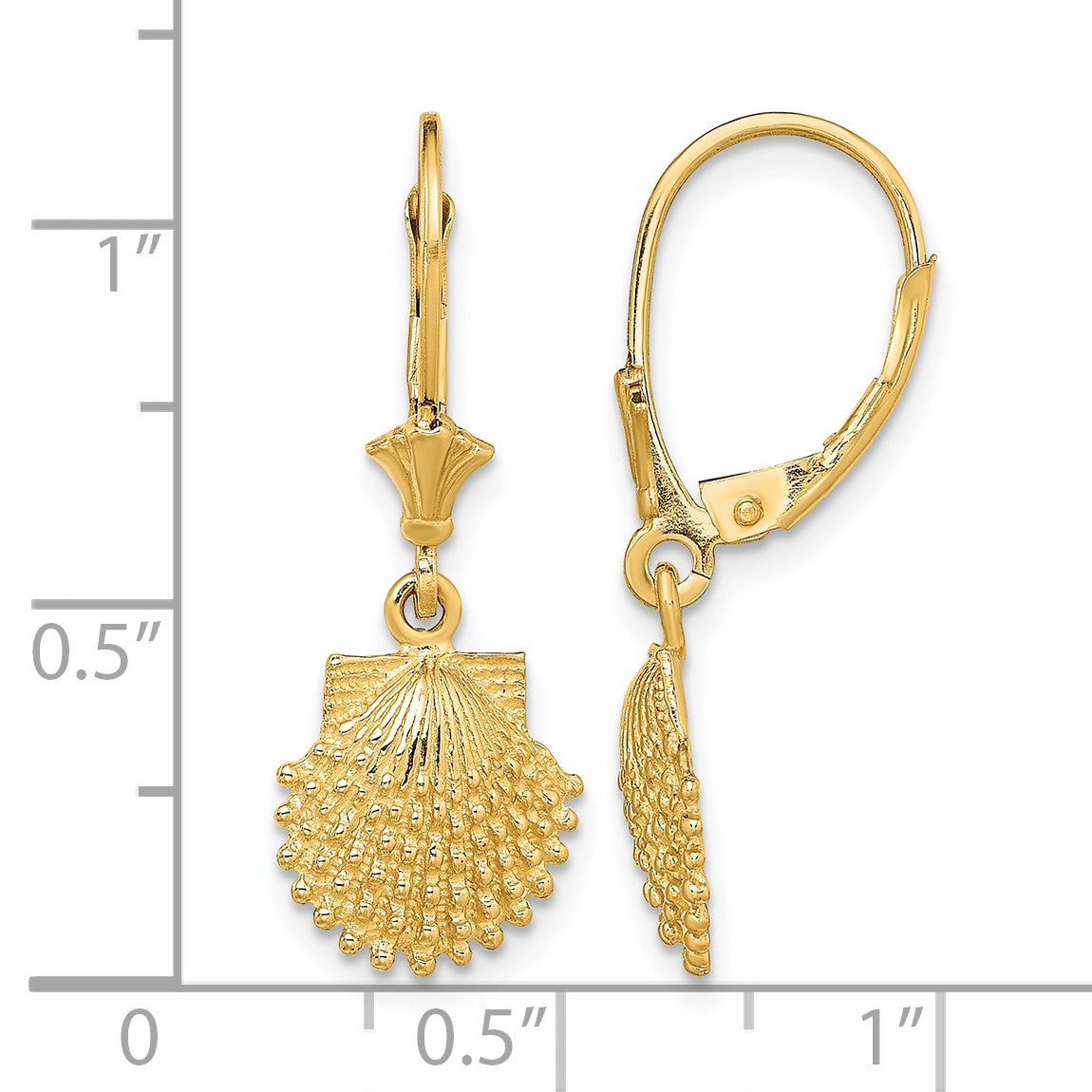 14K 2-D Beaded Scallop Shell Leverback Earrings