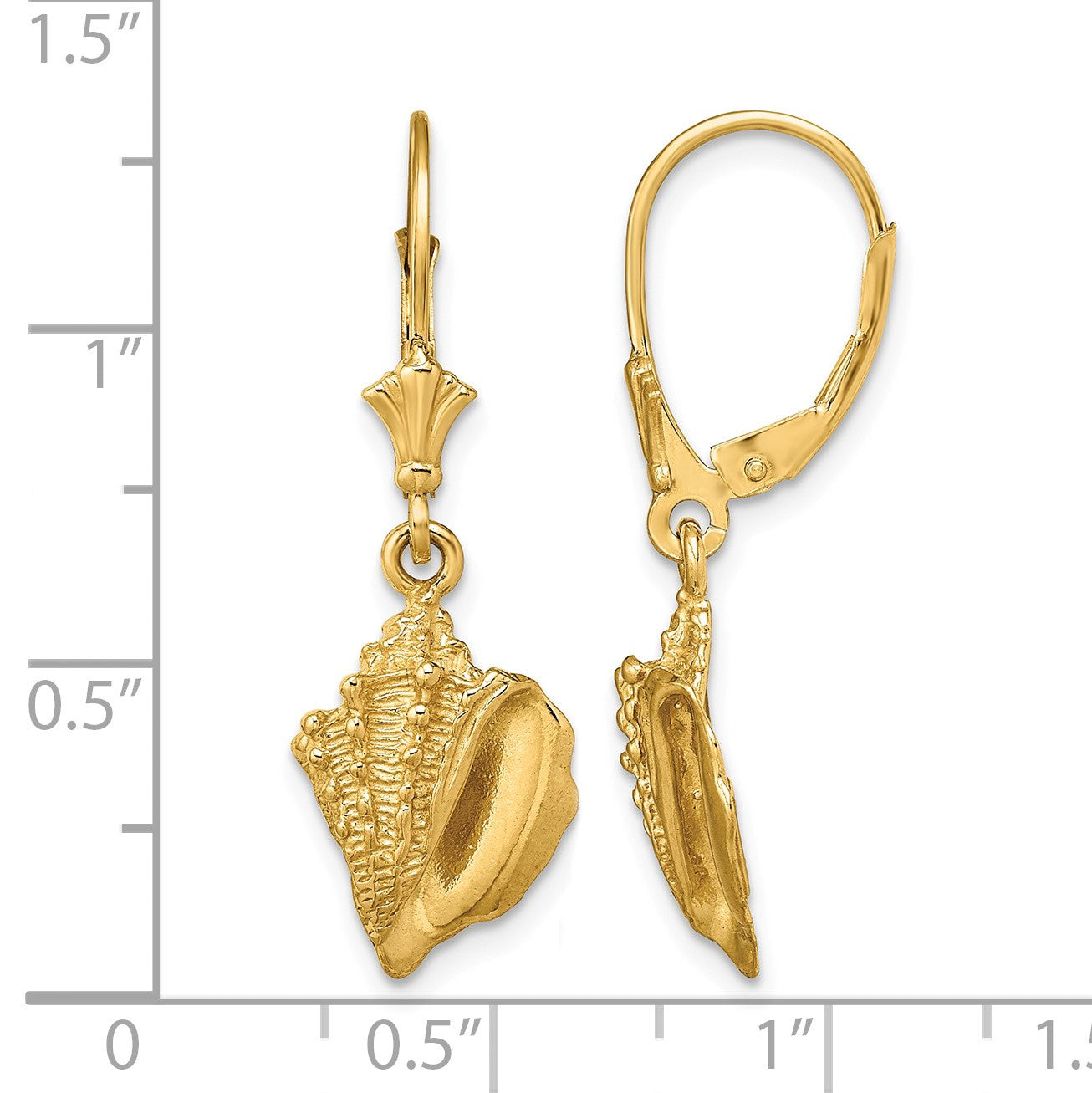14K Conch Shell Leverback Earrings