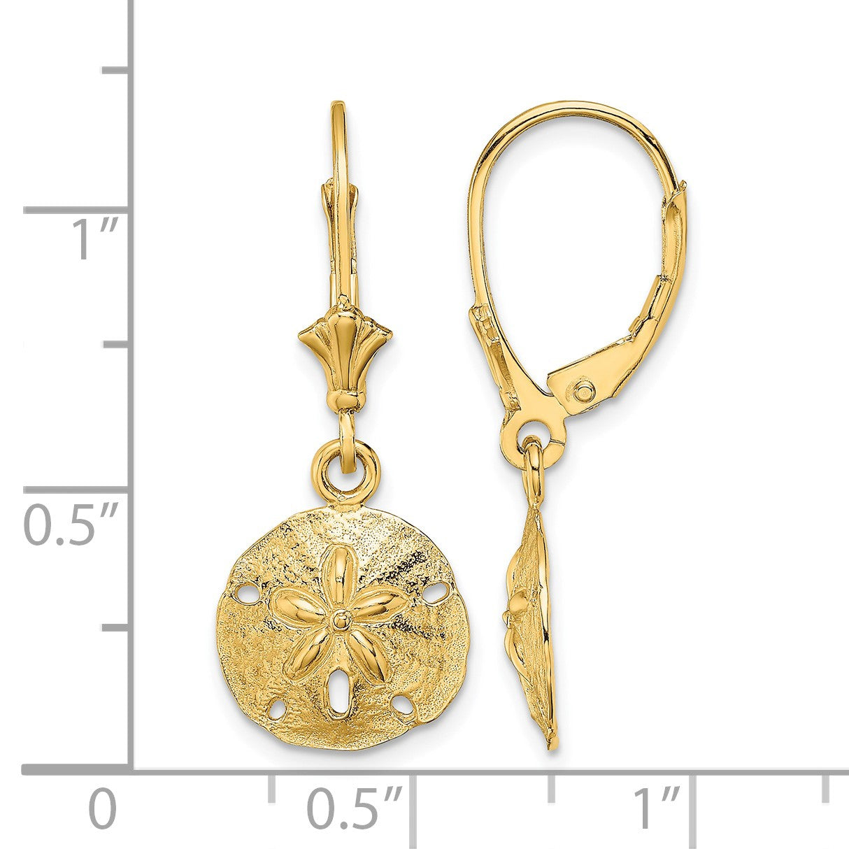14K Polished Sand Dollar Leverback Earrings