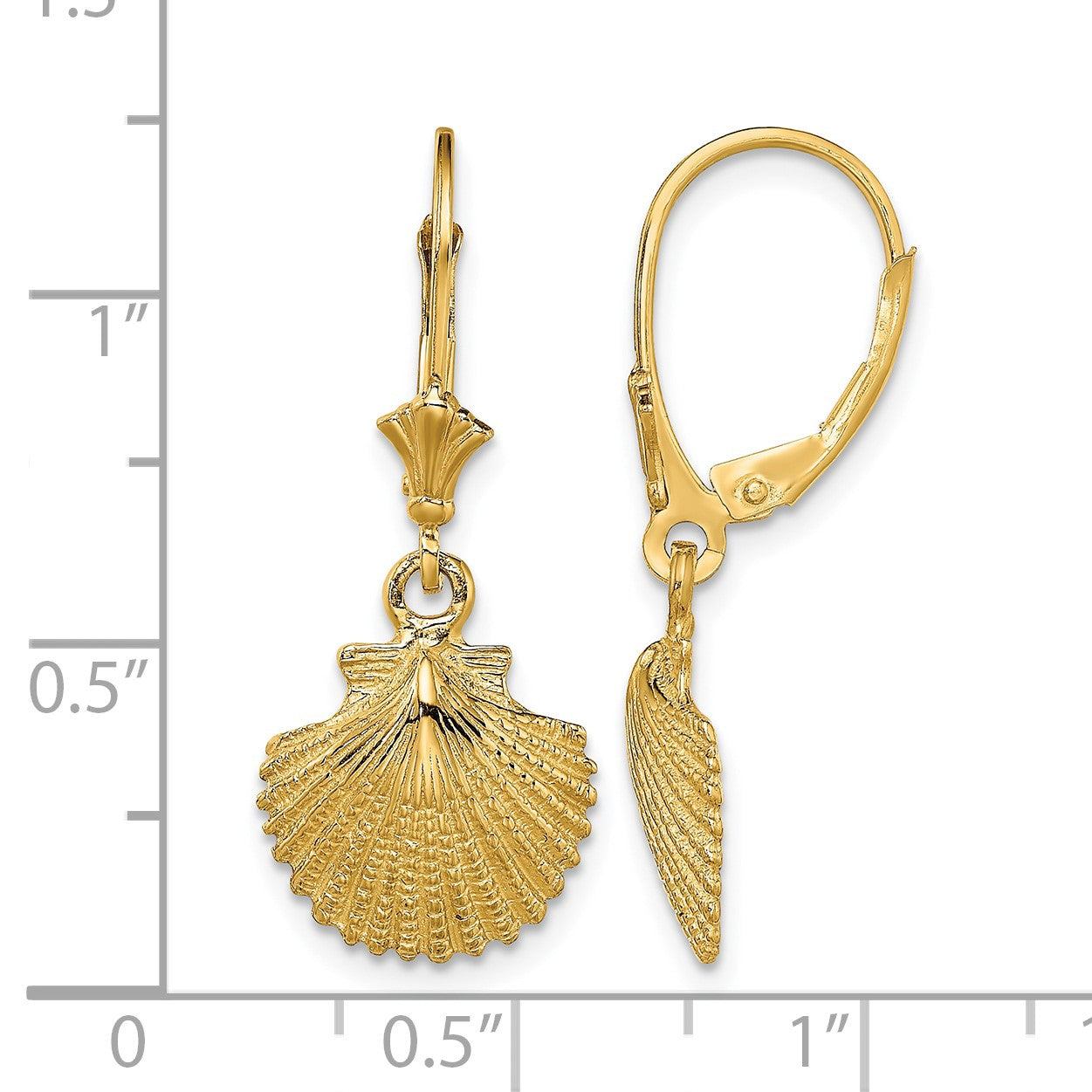 14K 2-D and Textured Scallop Shell Leverback Earrings