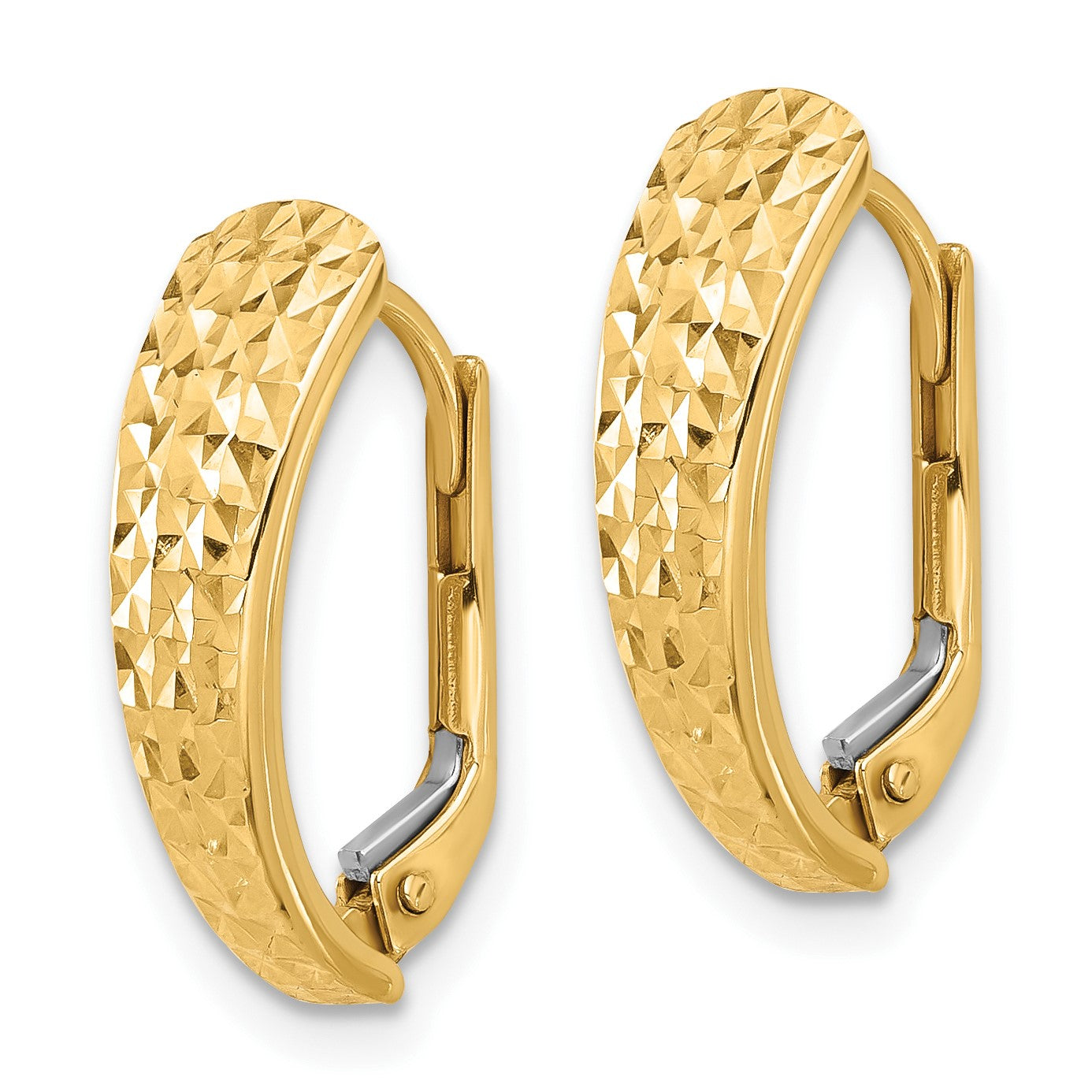 14K Polished and Diamond-cut Leverback Earrings