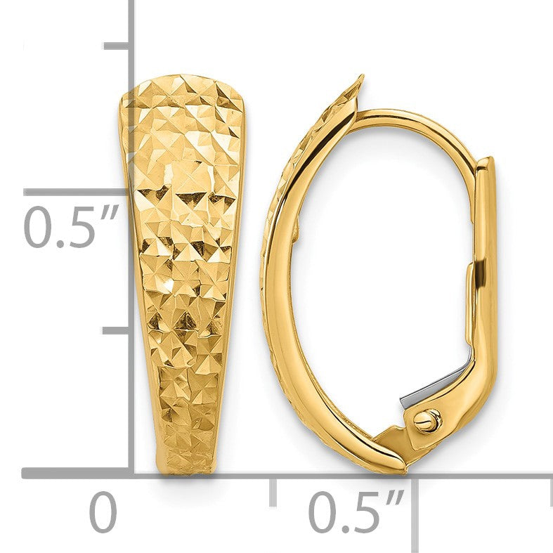 14K Polished and Diamond-cut Leverback Earrings
