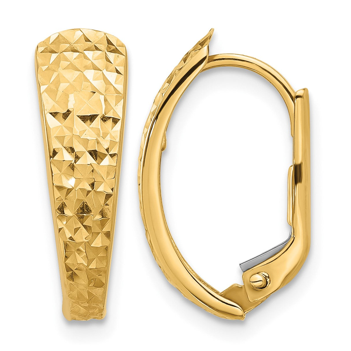 14K Polished and Diamond-cut Leverback Earrings