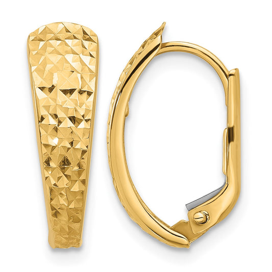 14K Polished and Diamond-cut Leverback Earrings