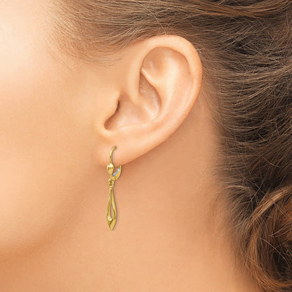 14K Polished Open Teardrop Dangle Leverback Earrings