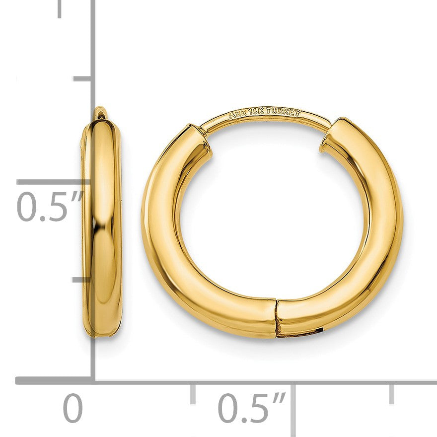 14k Polished Hollow Hoop Earrings