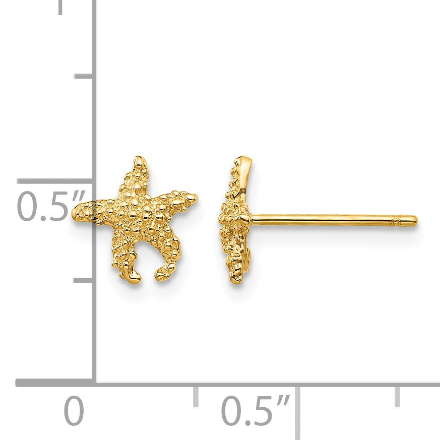 14K Polished and Textured Starfish Post Earrings