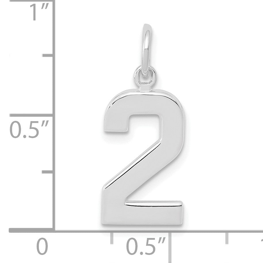 14kw  Medium Polished Number 2 Charm