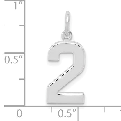 14kw  Medium Polished Number 2 Charm