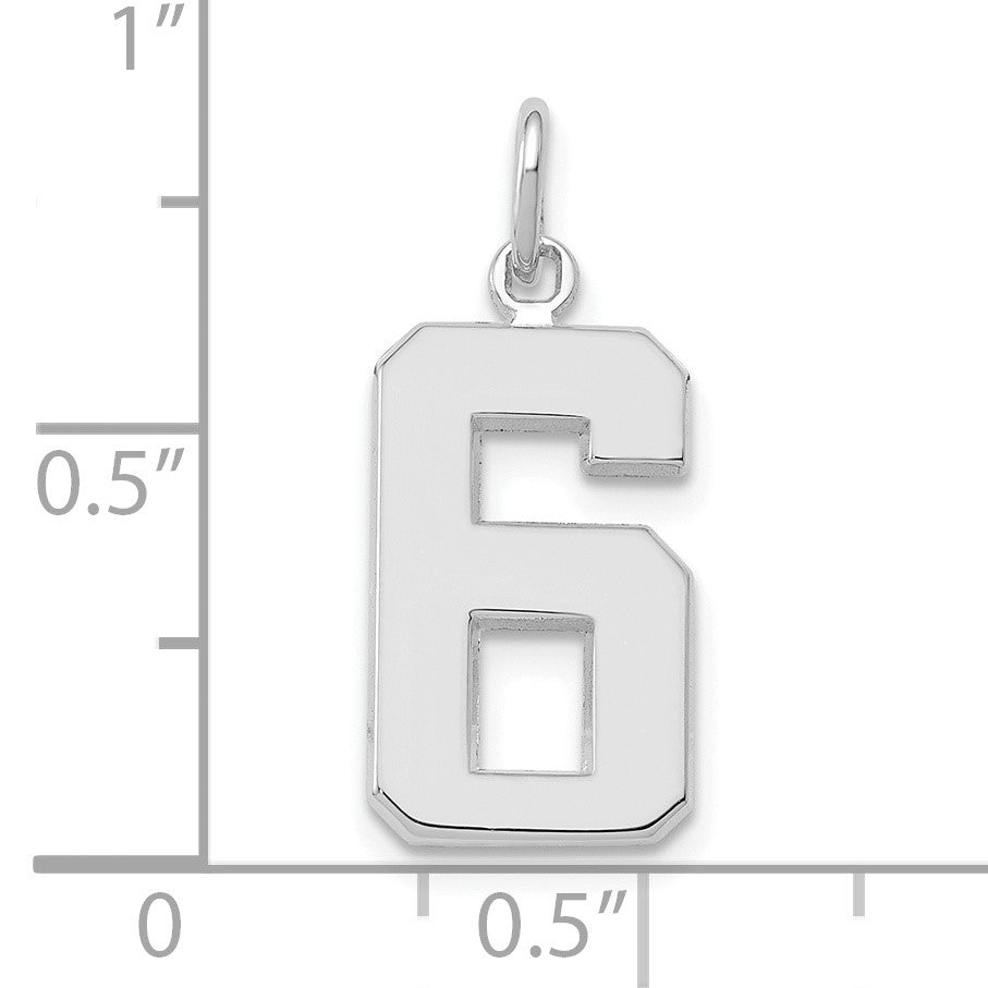 14kw Medium Polished Number 6 Charm