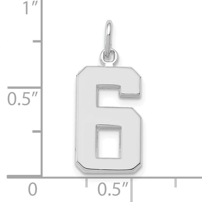 14kw Medium Polished Number 6 Charm