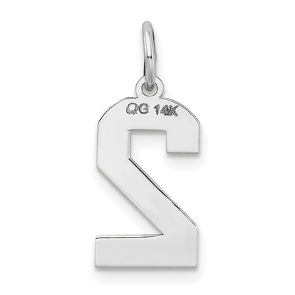14kw Medium Satin Number 2 Charm