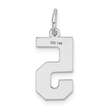 14kw Medium Satin Number 5 Charm