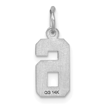 14kw Small Brushed Diamond-cut Number 6 Charm