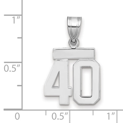 14kw Small Polished Number 40 Charm