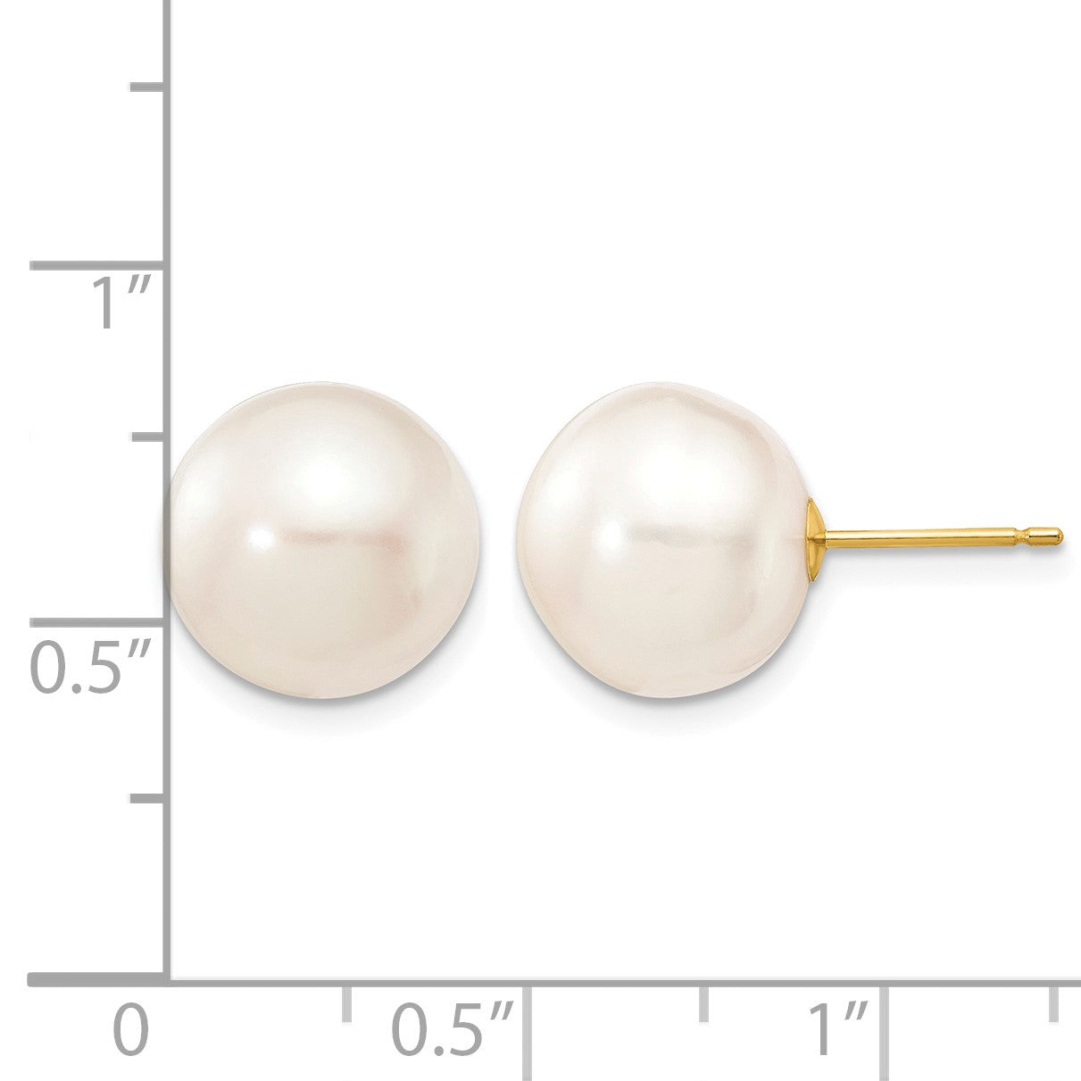 14k 11-12mm White Button Freshwater Cultured Pearl Stud Post Earrings