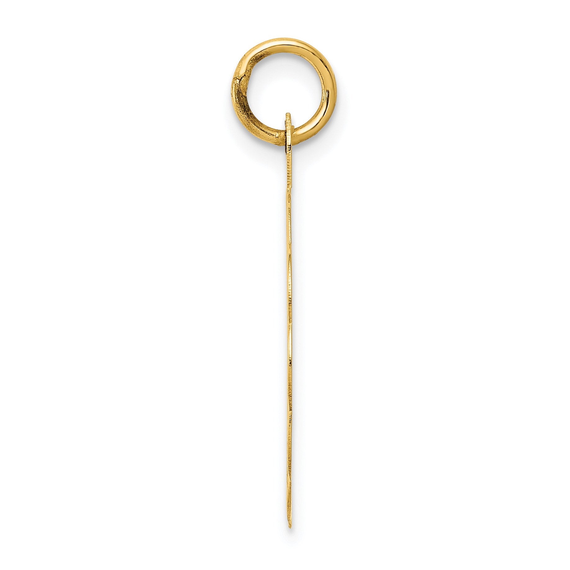 14k 25th ANNIVERSARY 20mm Engravable Disc Charm