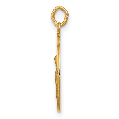 14k Polished and Satin Solid Saint Anne Medal Charm