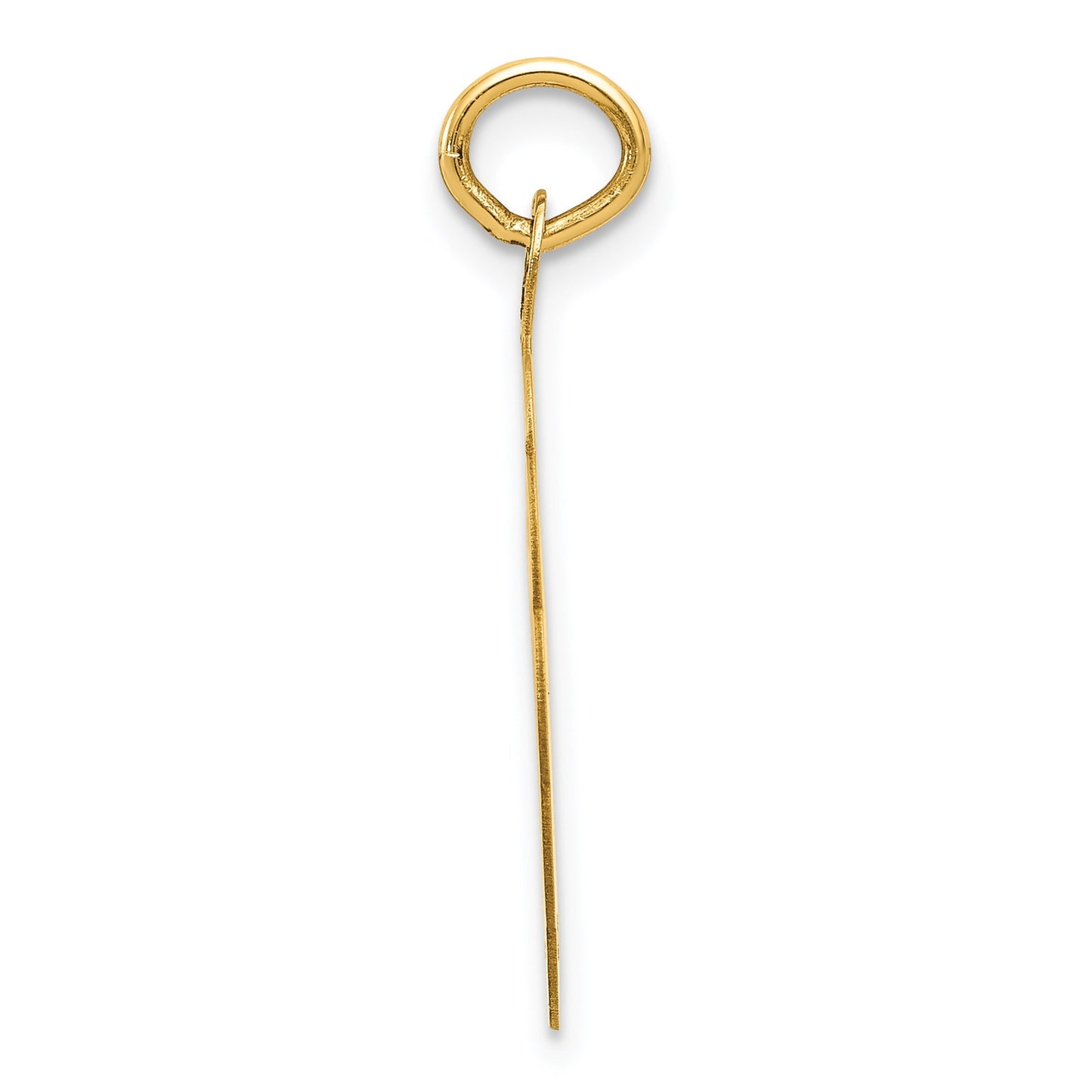 14k SWIMMING 19mm Engravable Disc Charm
