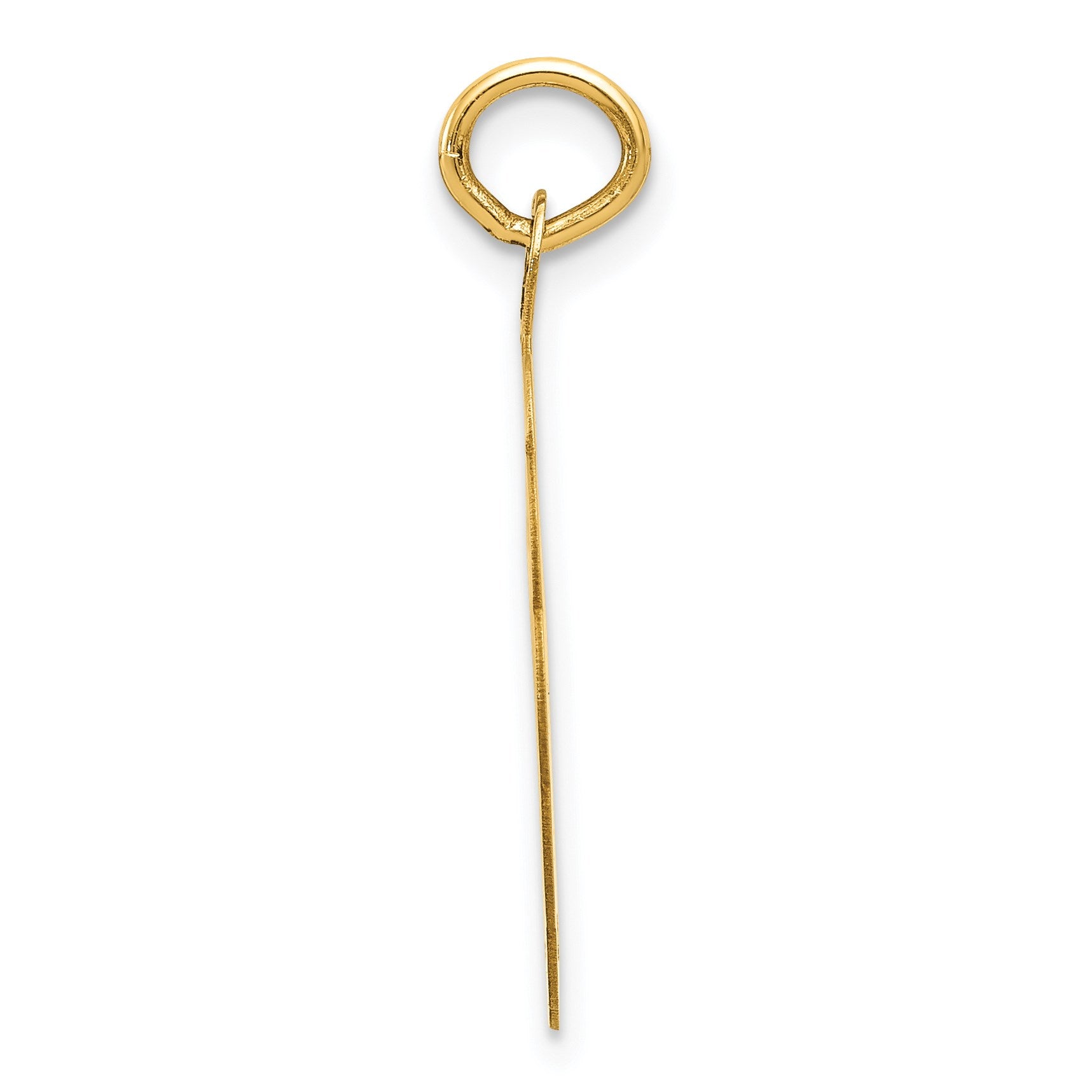 14k SWIMMING 19mm Engravable Disc Charm