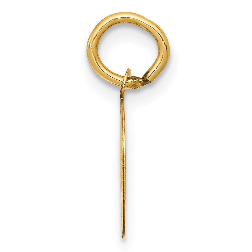 14k Polished and Satin Solid HOLY COMMUNION Round Disc Charm