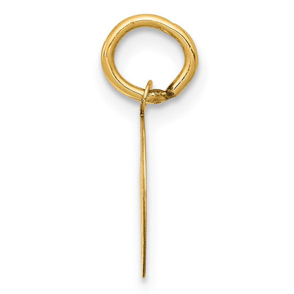14k Polished and Satin Solid HOLY COMMUNION Round Disc Charm