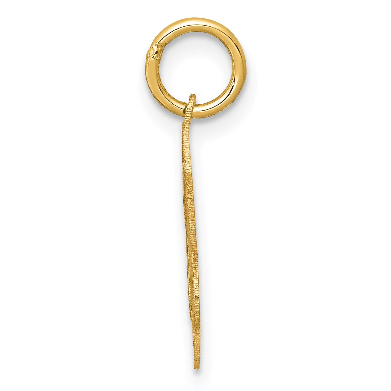 14k Polished and Satin Solid HOLY COMMUNION Scalloped Edge Round Disc Charm