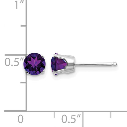 14k White Gold 5mm Round February/Amethyst Stud Earrings