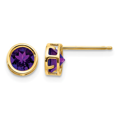 14k 5mm Round Bezel February/Amethyst Post Earrings