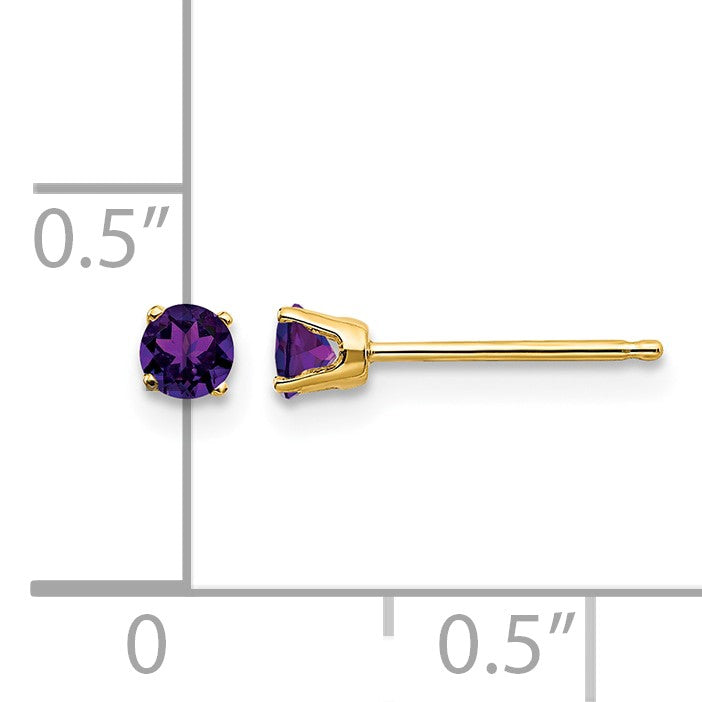 14k 3mm Round February/Amethyst Post Earrings