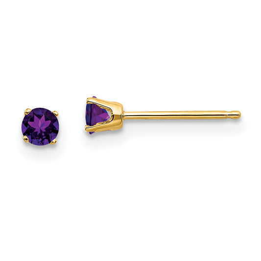14k Yellow Gold 3mm February/Amethyst Post Earrings