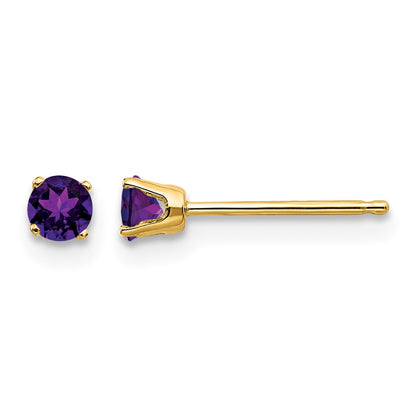 14k 3mm Round February/Amethyst Post Earrings