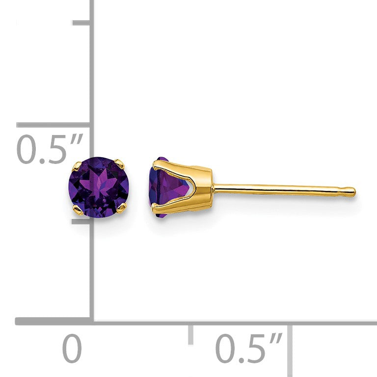 14k 4mm Round February/Amethyst Post Earrings