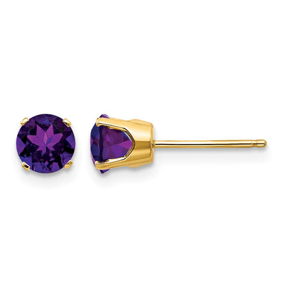 14k 5mm Round Amethyst Earrings - February