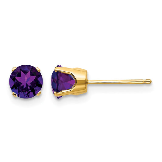 14k 5mm Round Amethyst Earrings - February