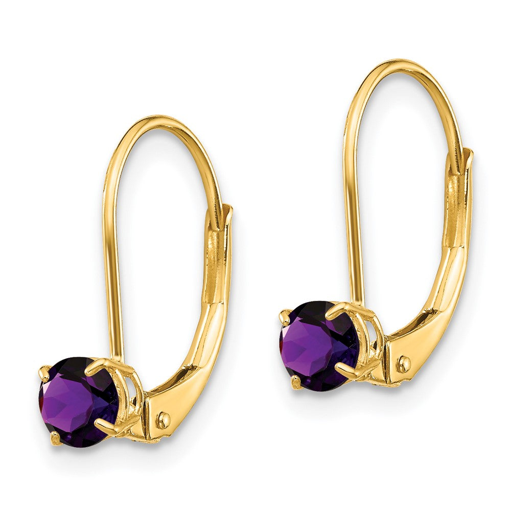 14k Amethyst Earrings - February