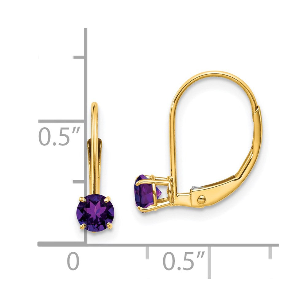 14k Amethyst Earrings - February