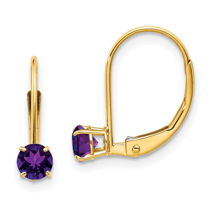 14k Amethyst Earrings - February