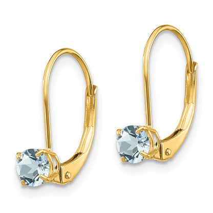 14k Aquamarine Earrings - March