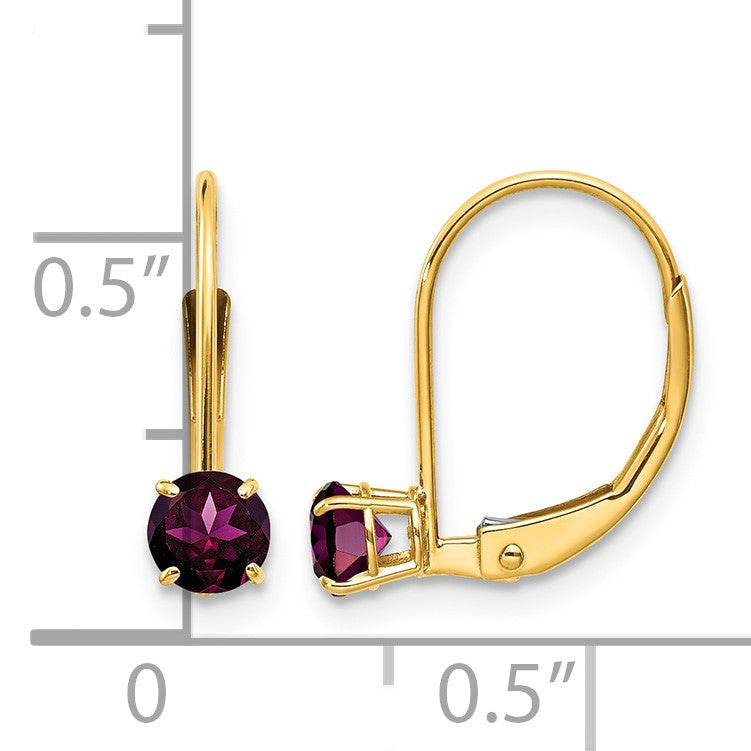 14k 4mm Round June/Rhodolite Garnet Leverback Earrings
