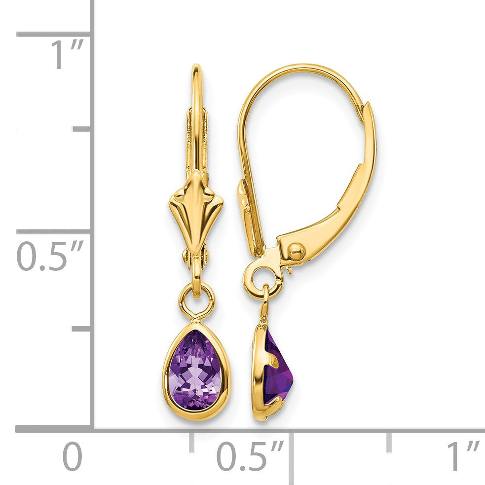 14k 6x4mm Pear Bezel February/Amethyst Leverback Earrings