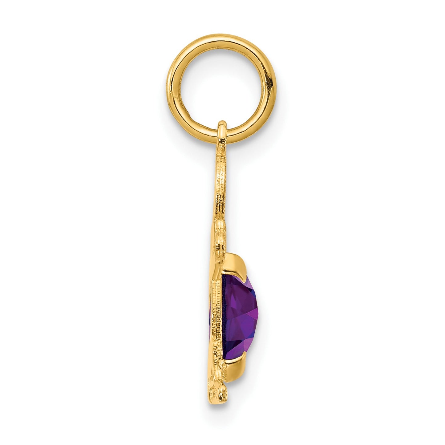 14K Boy Charm 6x4 Oval Genuine Amethyst-February