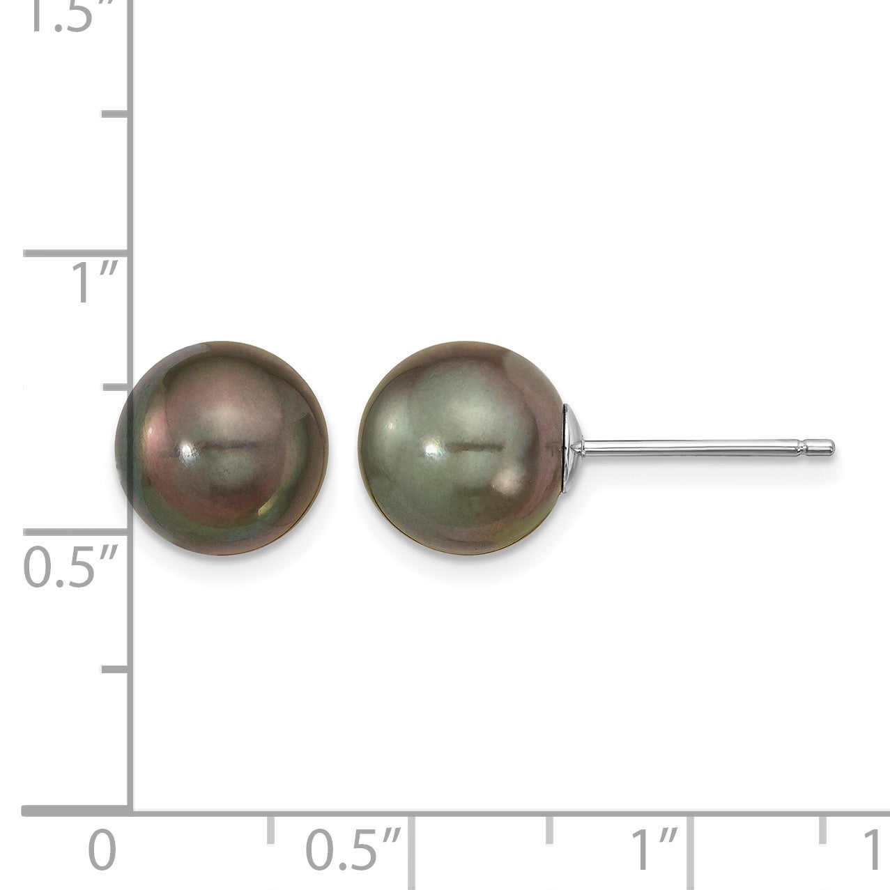 14k White Gold 9-10mm Black Round Tahitian Saltwater Cultured Pearl Post Earrings