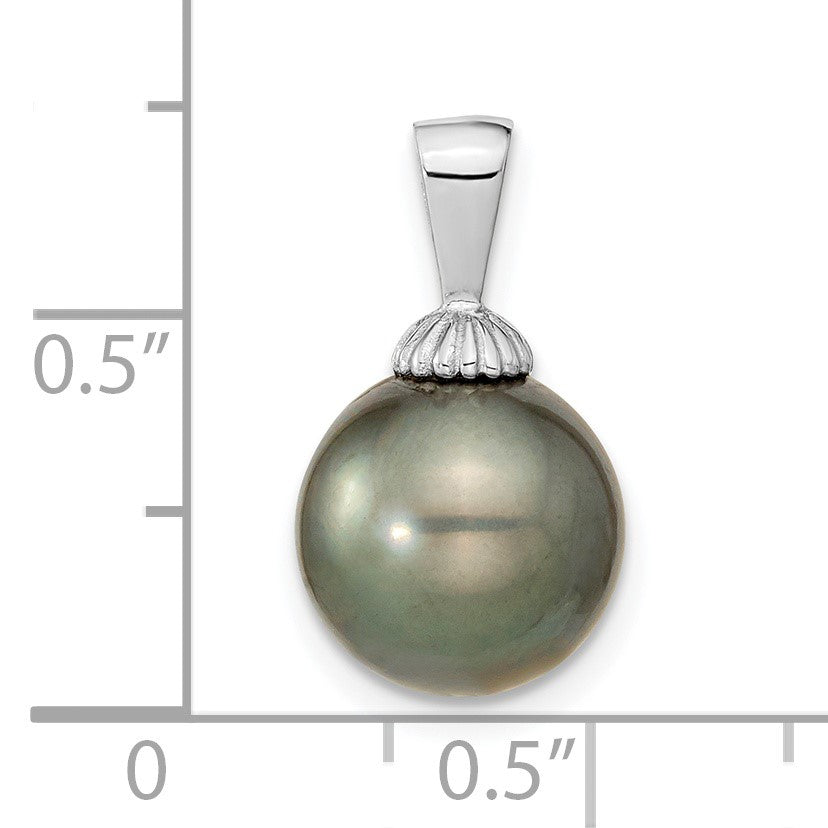 14k White Gold 10-11mm Black Round Tahitian Saltwater Cultured Pearl Pendant