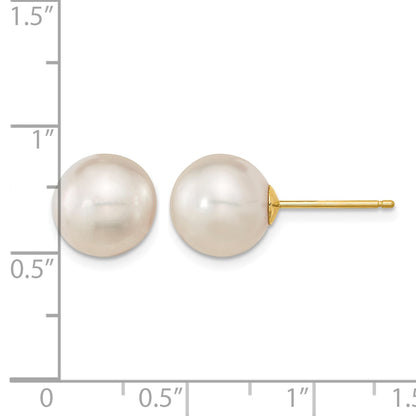 14k 10-11mm White Round South Sea Saltwater Cultured Pearl Post Earrings