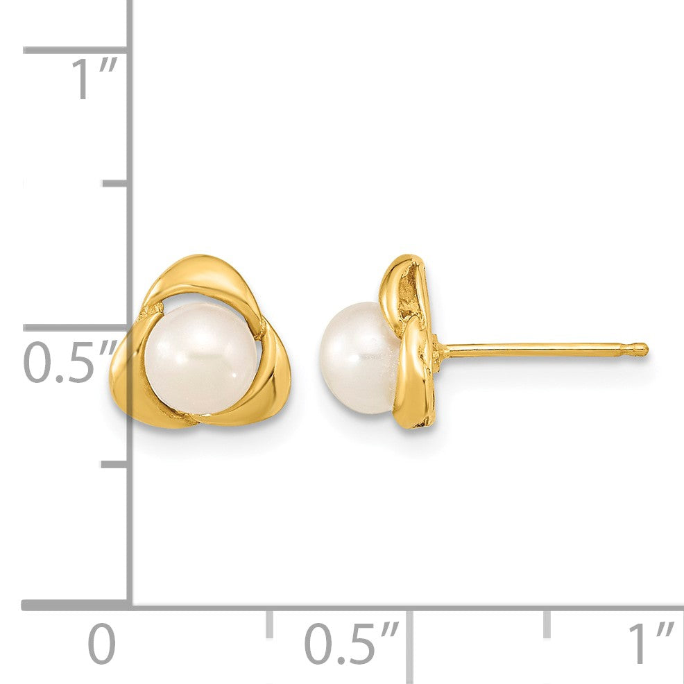 14k 5-6mm White Button Freshwater Cultured Pearl Post Earrings