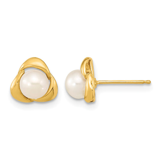 14k 5-6mm White Button Freshwater Cultured Pearl Post Earrings
